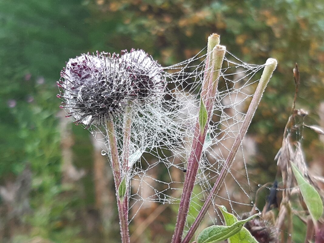 Это было в августе - Галина Минчук