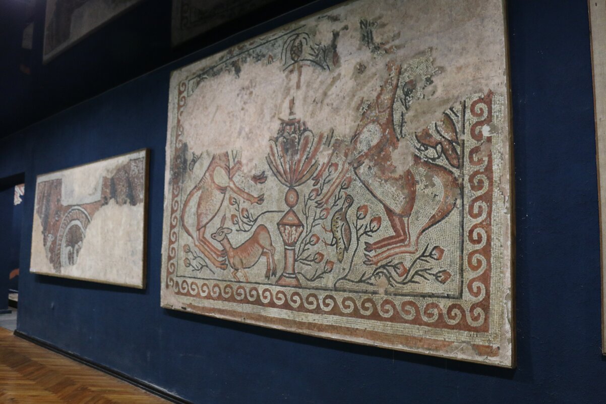 В музее истории Пицунды - Ольга В музее истории Пицунды - Ольга