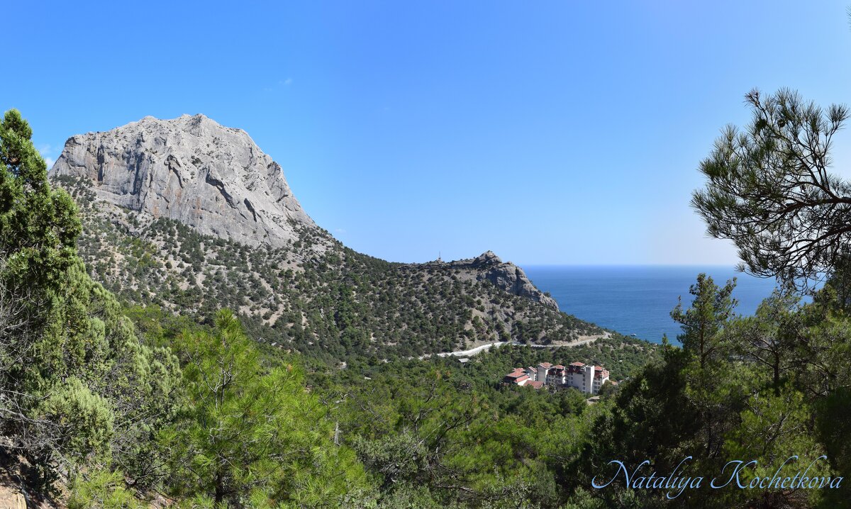 Природа Крыма - Amazing Cosmea