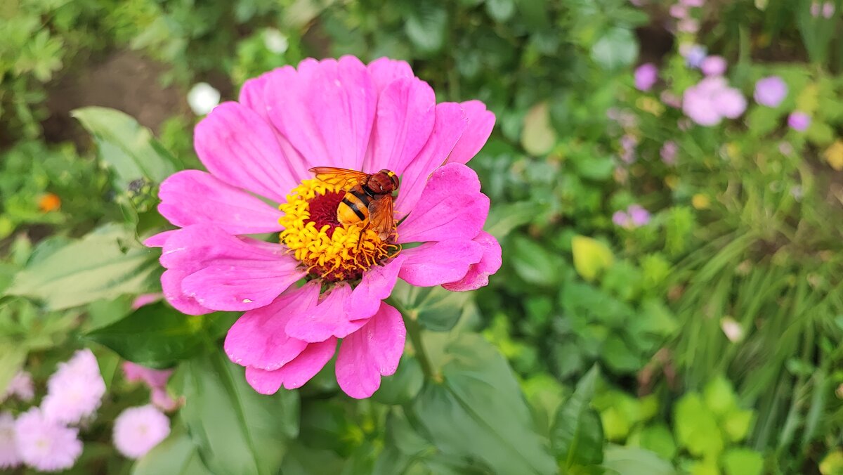 ,,, - Сергей Тимоновский