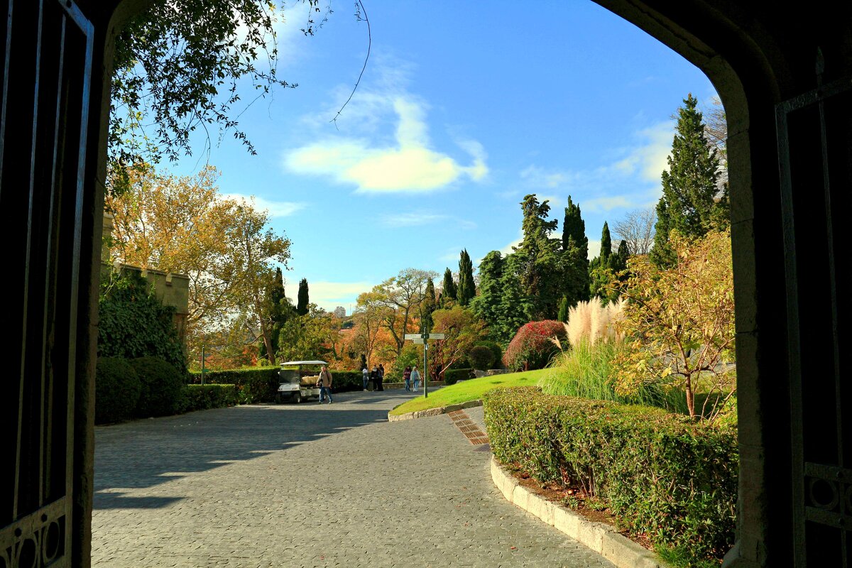 Аллея в Воронцовском дворце - Мишель71 