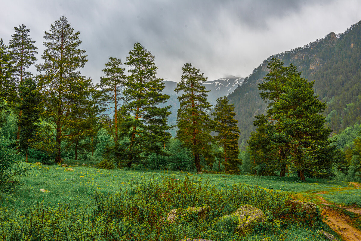Ущелье реки Чиринкол. - Аnatoly Gaponenko