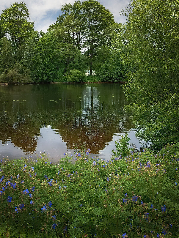 Пейзаж с луговой геранью. - Лилия *