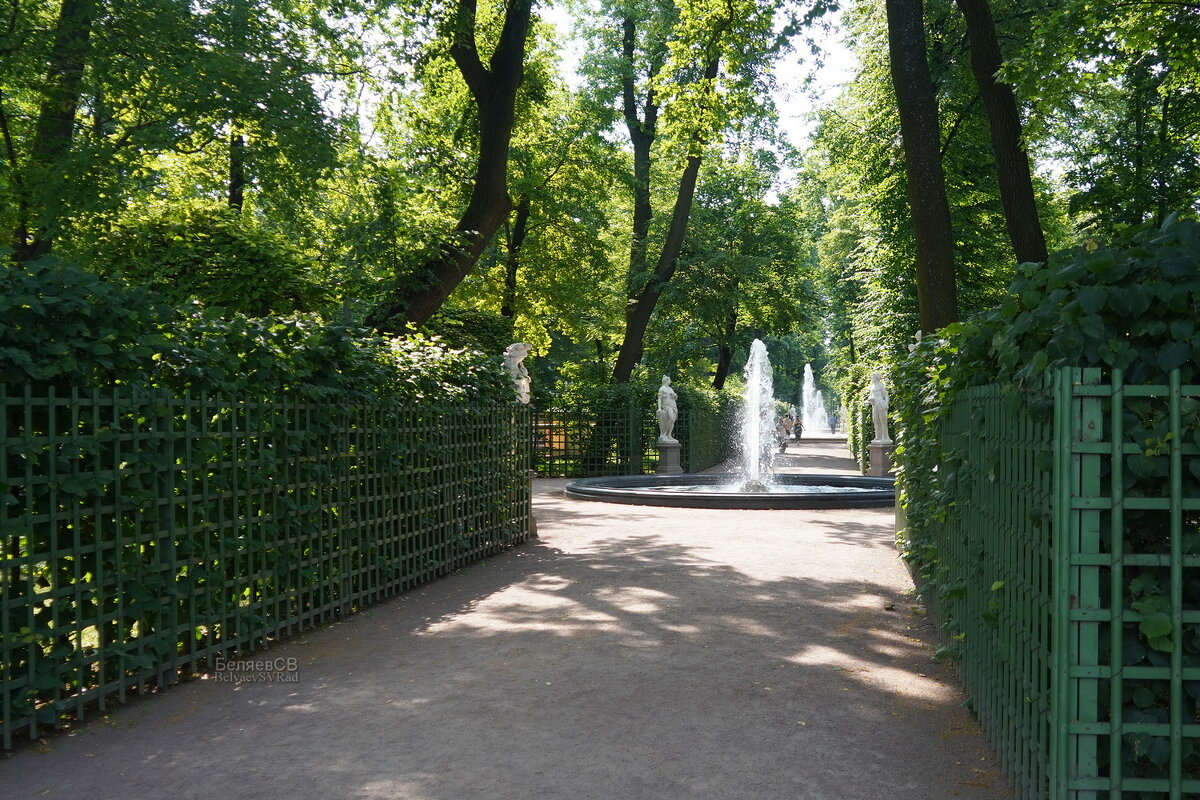 Интерьер Летнего сада - Сергей Беляев