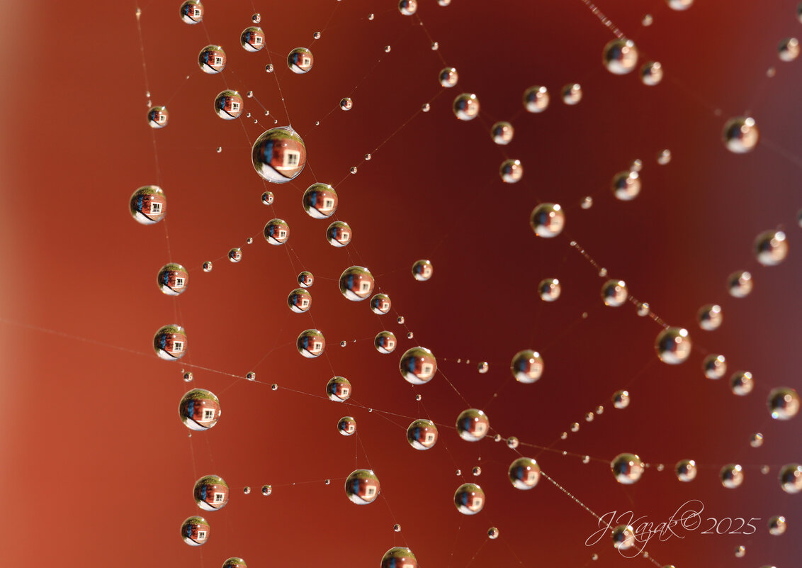 *** - Елена Kазак (selena1965)