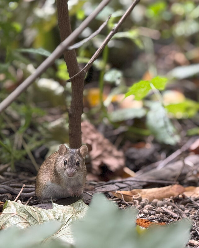 О, привет - someone somewere