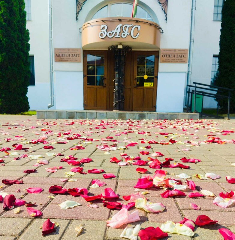 ЗАГС в Орше. - Галина Бобкина