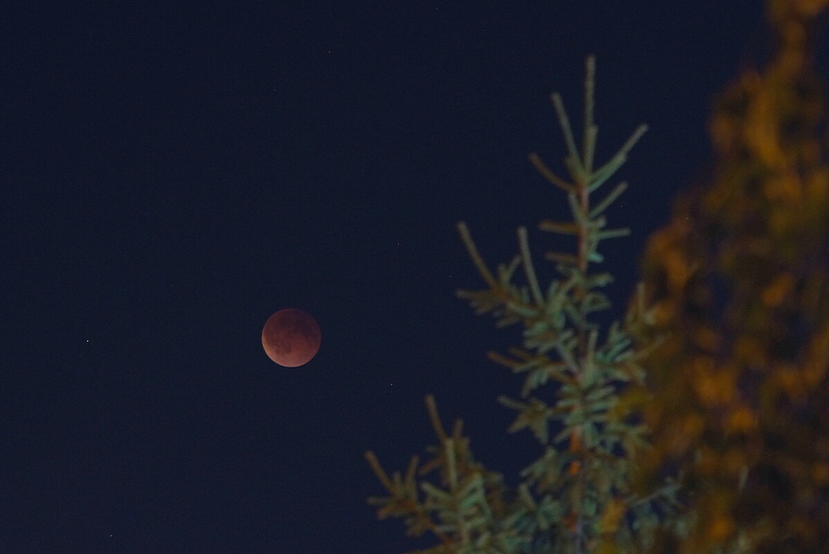 полная Луна в тени Земли - Сеня Белгородский полная Луна в тени Земли - Сеня Белгородский