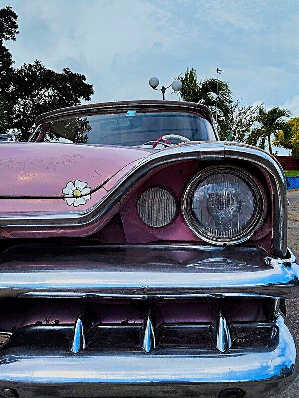 Драндулетто кубинское - Александр Чашин