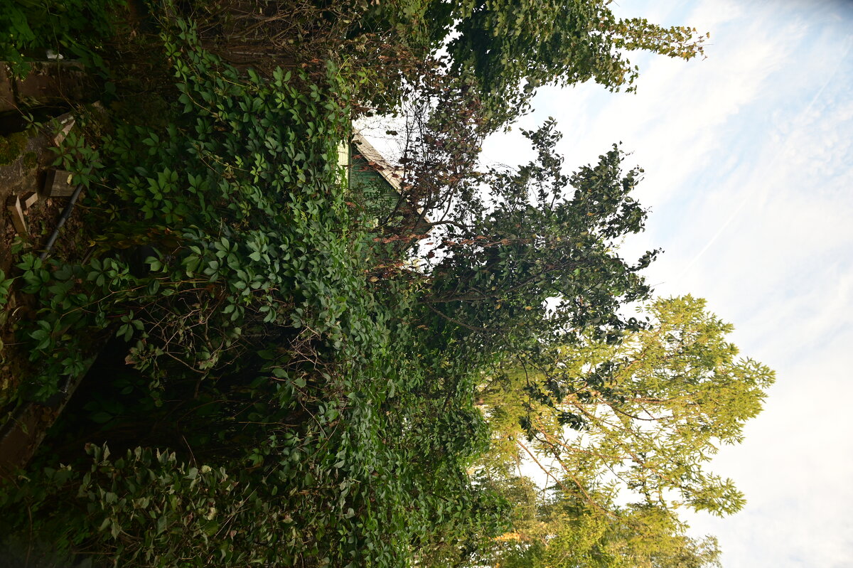 1 - Константин Сафронов