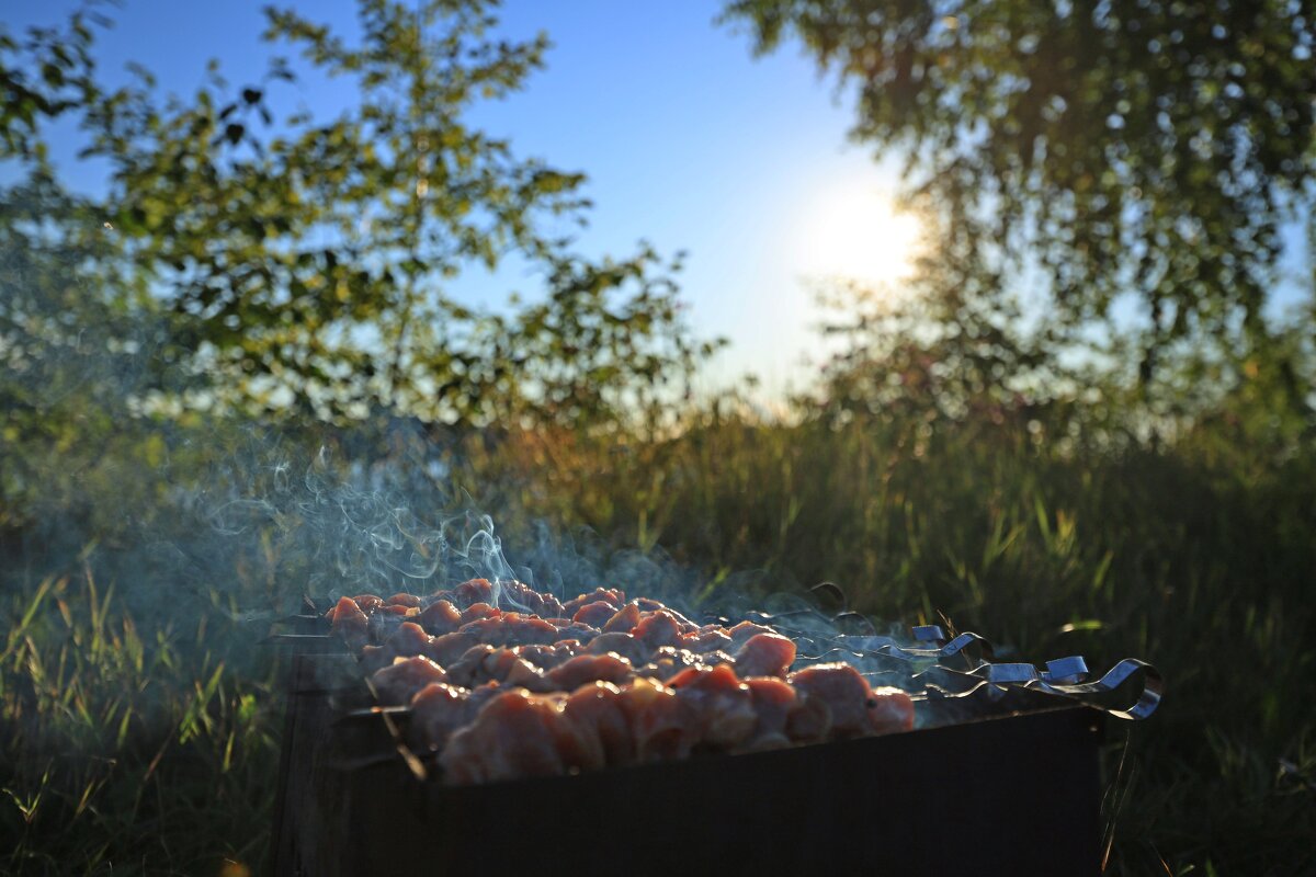 Шашлычок под коньячок - ivan38566 Овчинников