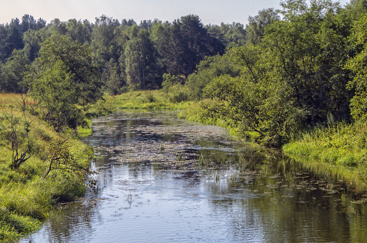 Речка Молокча - Сергей Цветков Речка Молокча - Сергей Цветков