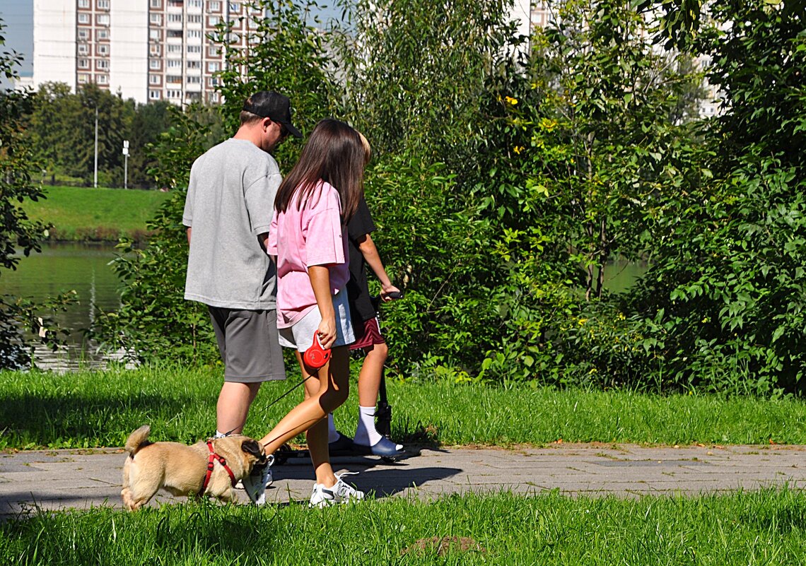 На прогулку ! - Анатолий Колосов