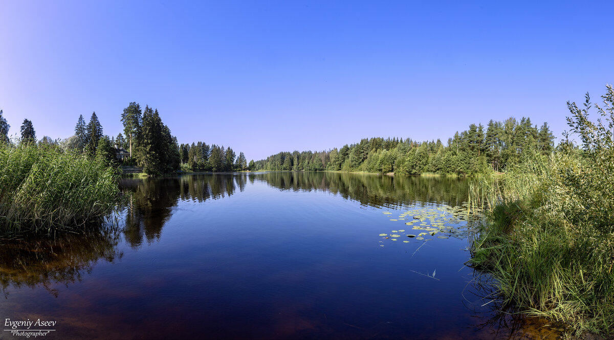 Тихое утро на озере - Евгений 