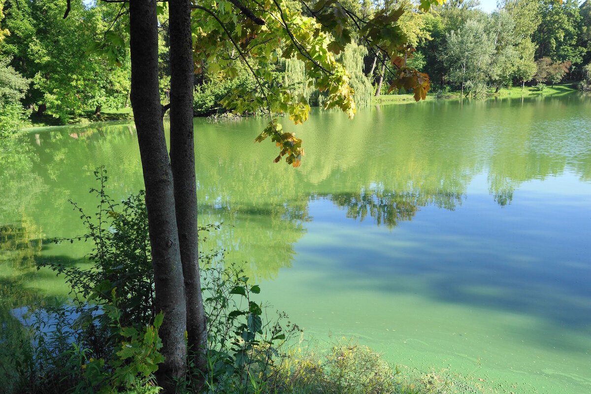 Сентябрь - Рита Симонова