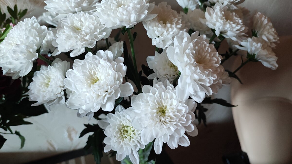 ,,, - Сергей Тимоновский