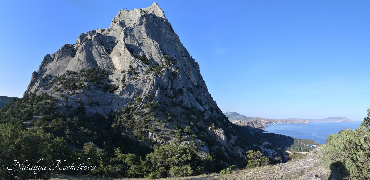 Природа Крыма - Amazing Cosmea