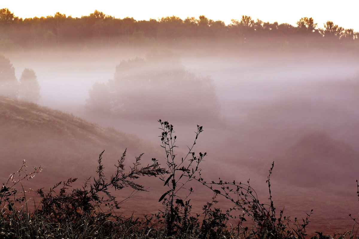 Утро 8 сентября Царицыно - Михаил Бибичков