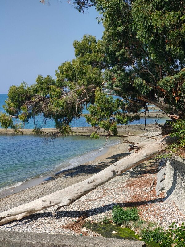 Новый Афон - Ирэн 