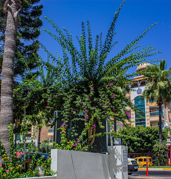 На улицах Алании - Светлана SvetNika17