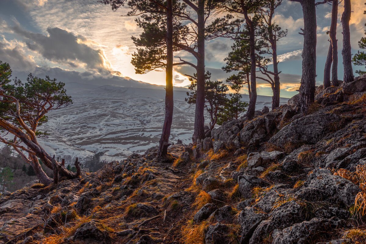 *** - Аnatoly Gaponenko *** - Аnatoly Gaponenko