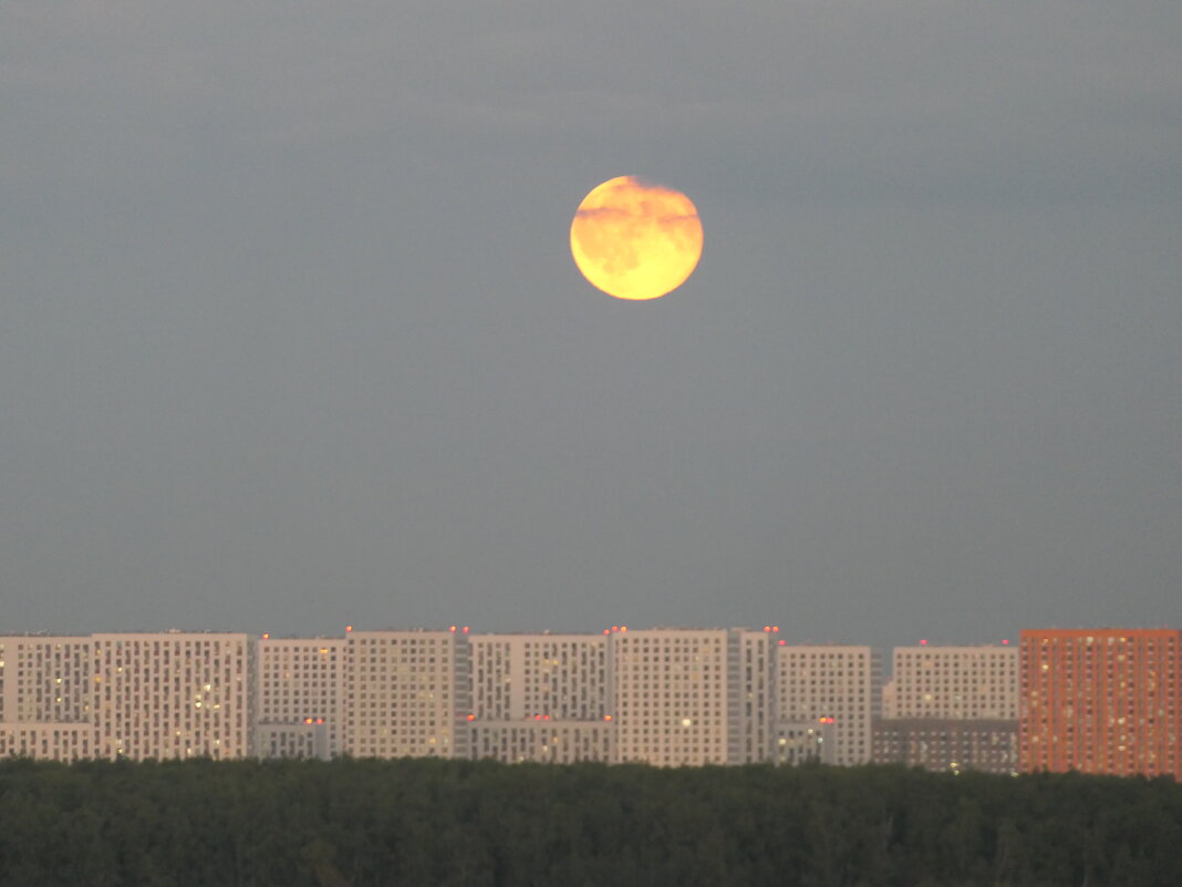 Луна над городом - Сергей Михальченко Луна над городом - Сергей Михальченко
