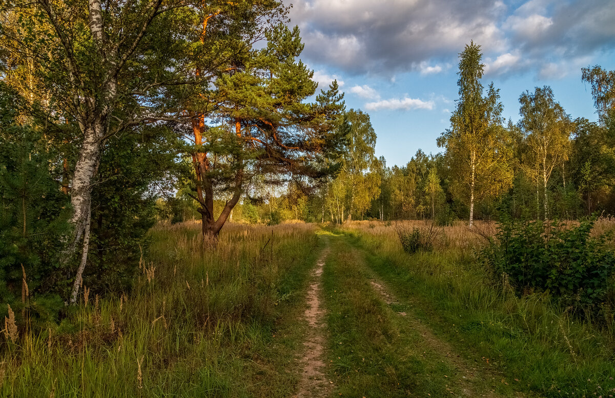 Осень она не спросит 3 - Андрей Дворников