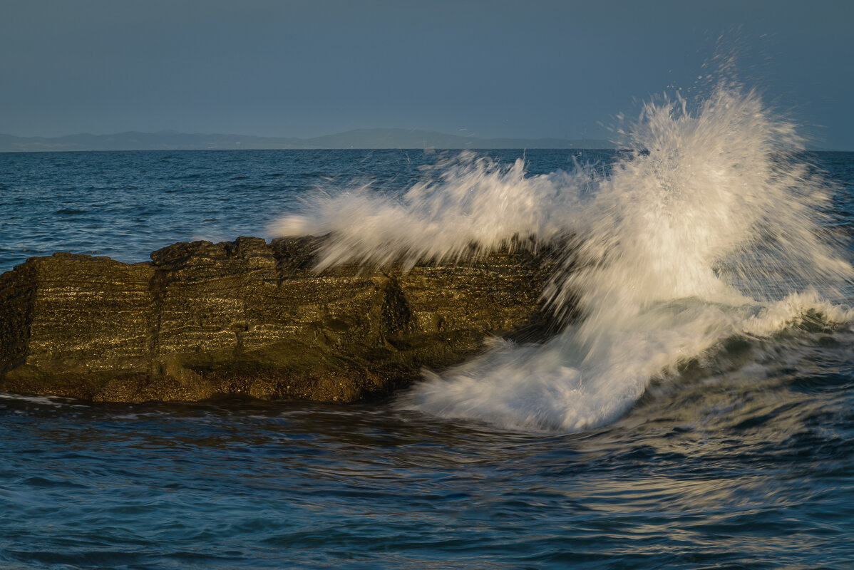 ... - Жора Житников