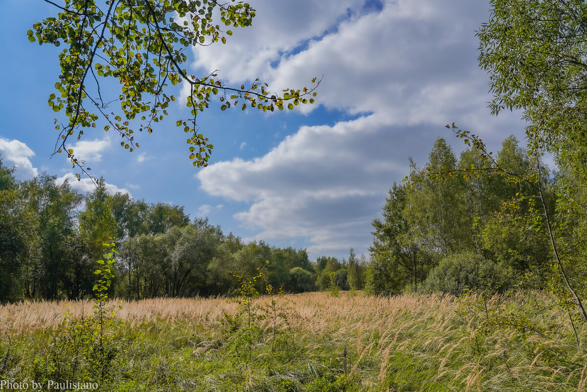 На опушке... - Владимир Жданов