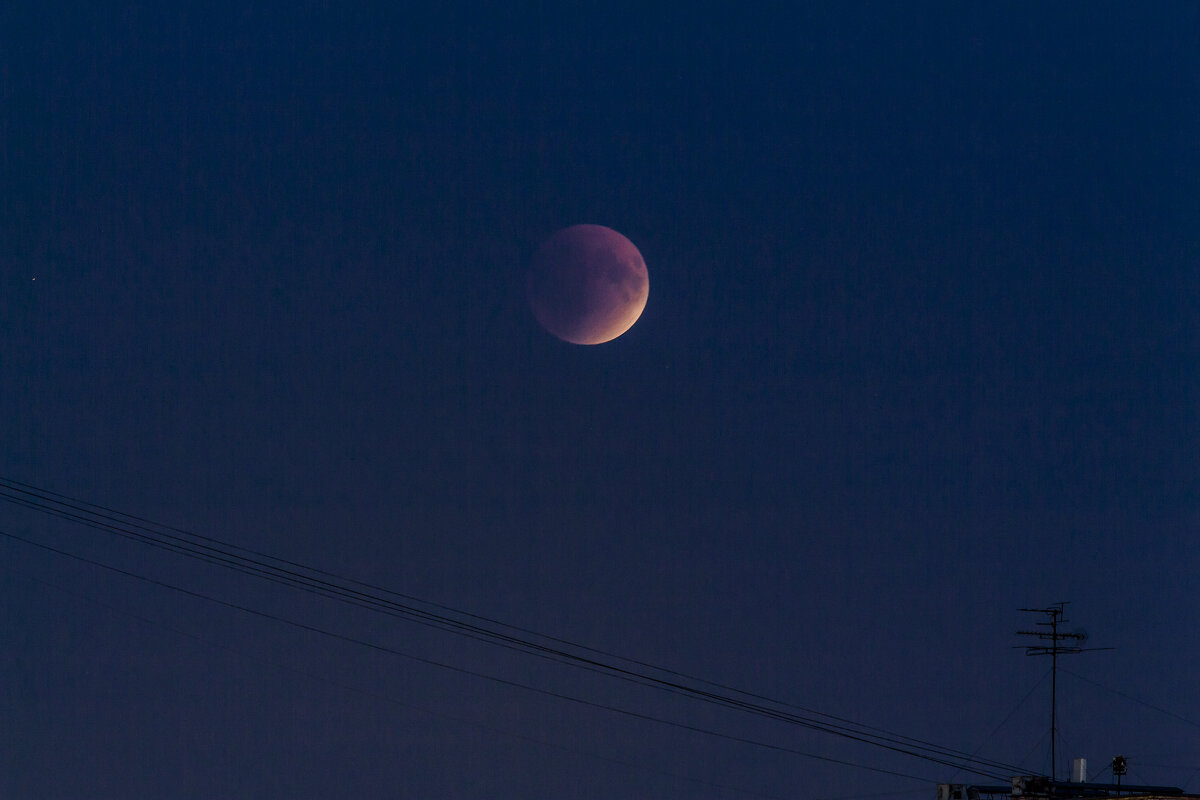 Лунное затмение 2025г. - Алексей Булак