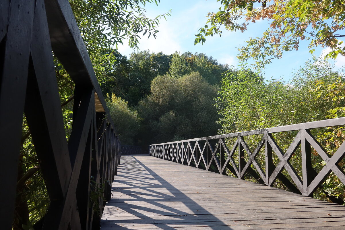 В осеннем парке - Дмитрий И_