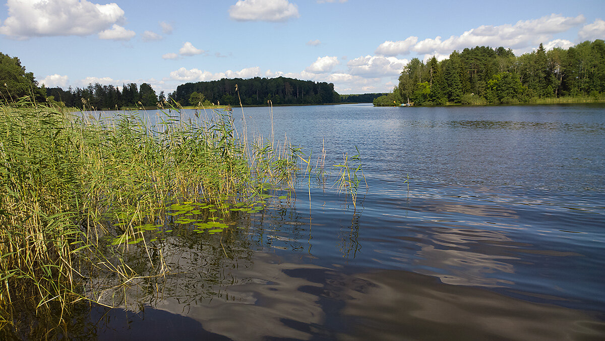 На Селигере - Yury Mironov