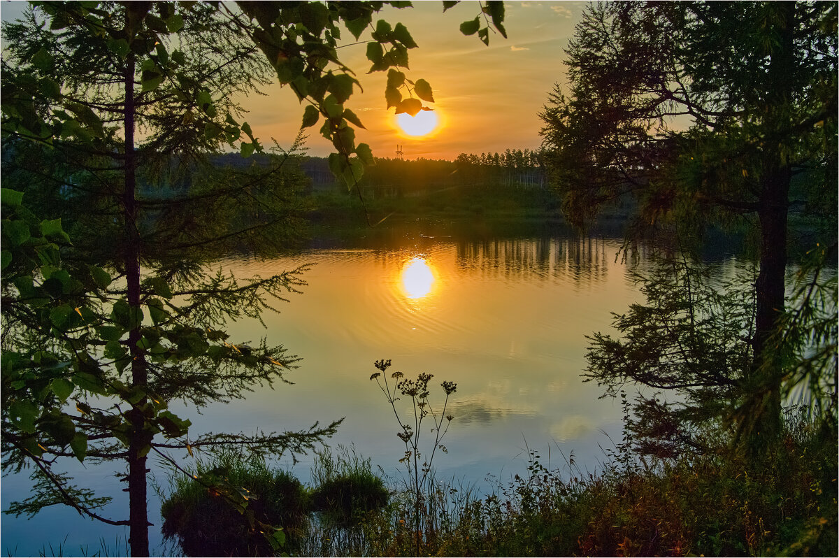 **** - Алексей Мезенцев **** - Алексей Мезенцев