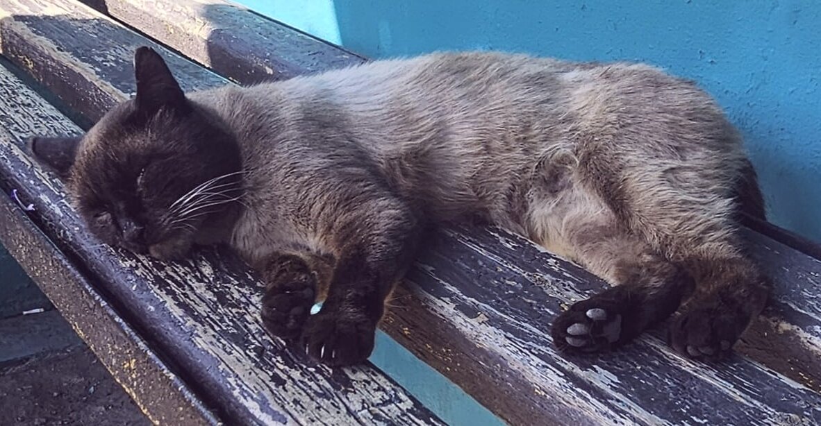 Отбой - Георгиевич 