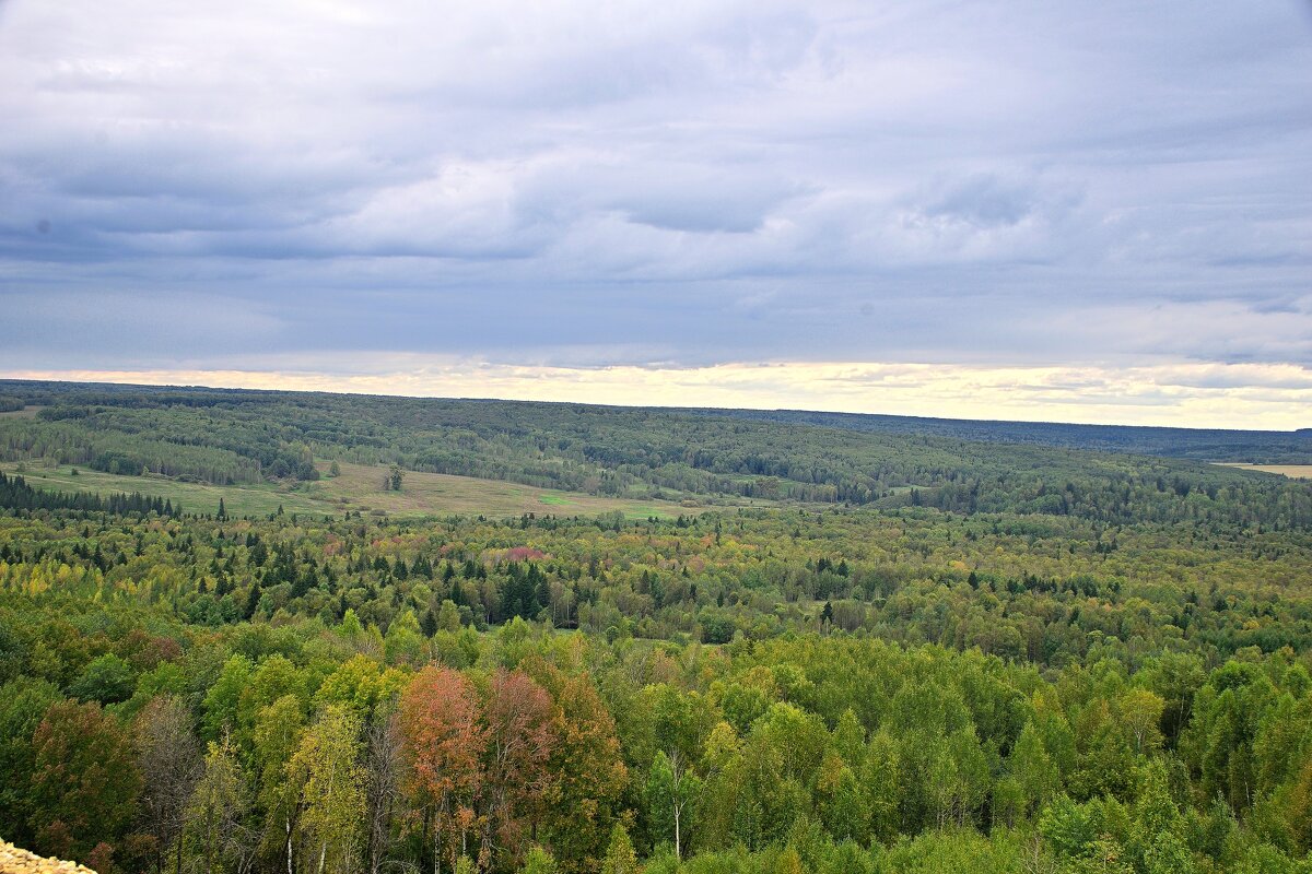 - - Владимир Мигонькин