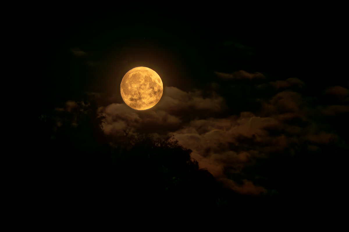 до затмения - cfysx 