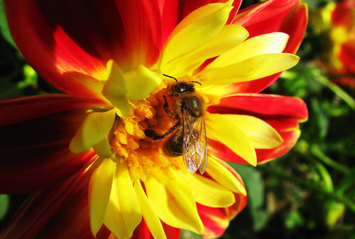 За работой - Людмила Смородинская