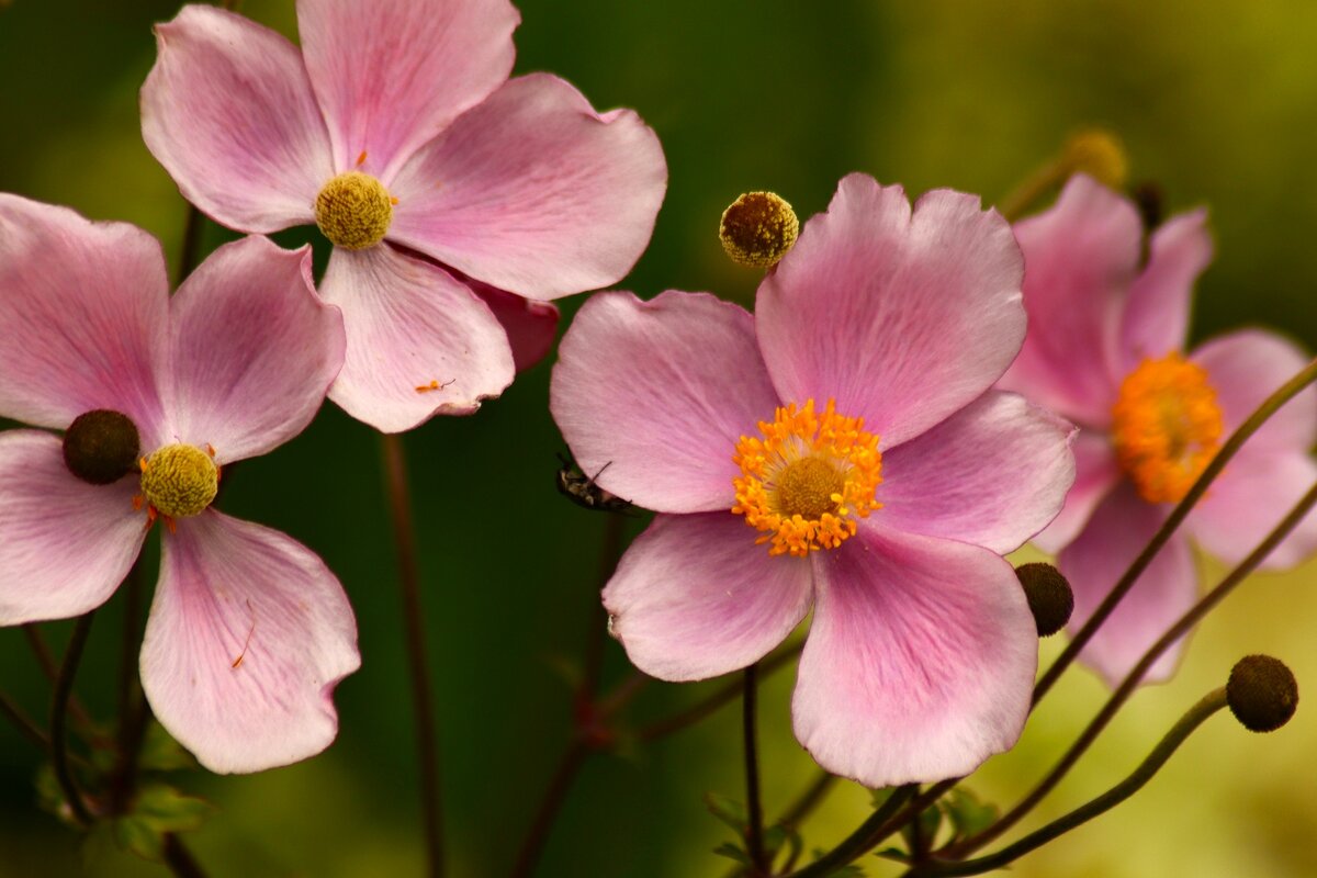 Доброе утро - Юрий. Шмаков Доброе утро - Юрий. Шмаков