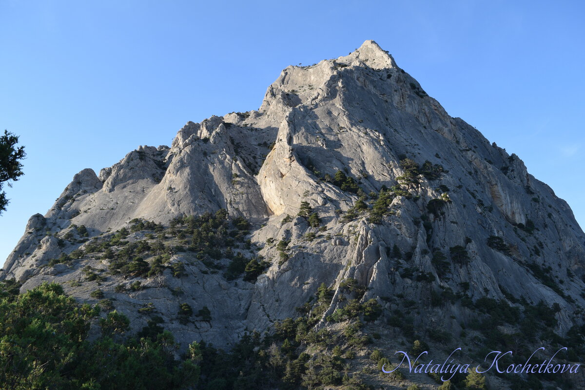 Природа Крыма - Amazing Cosmea