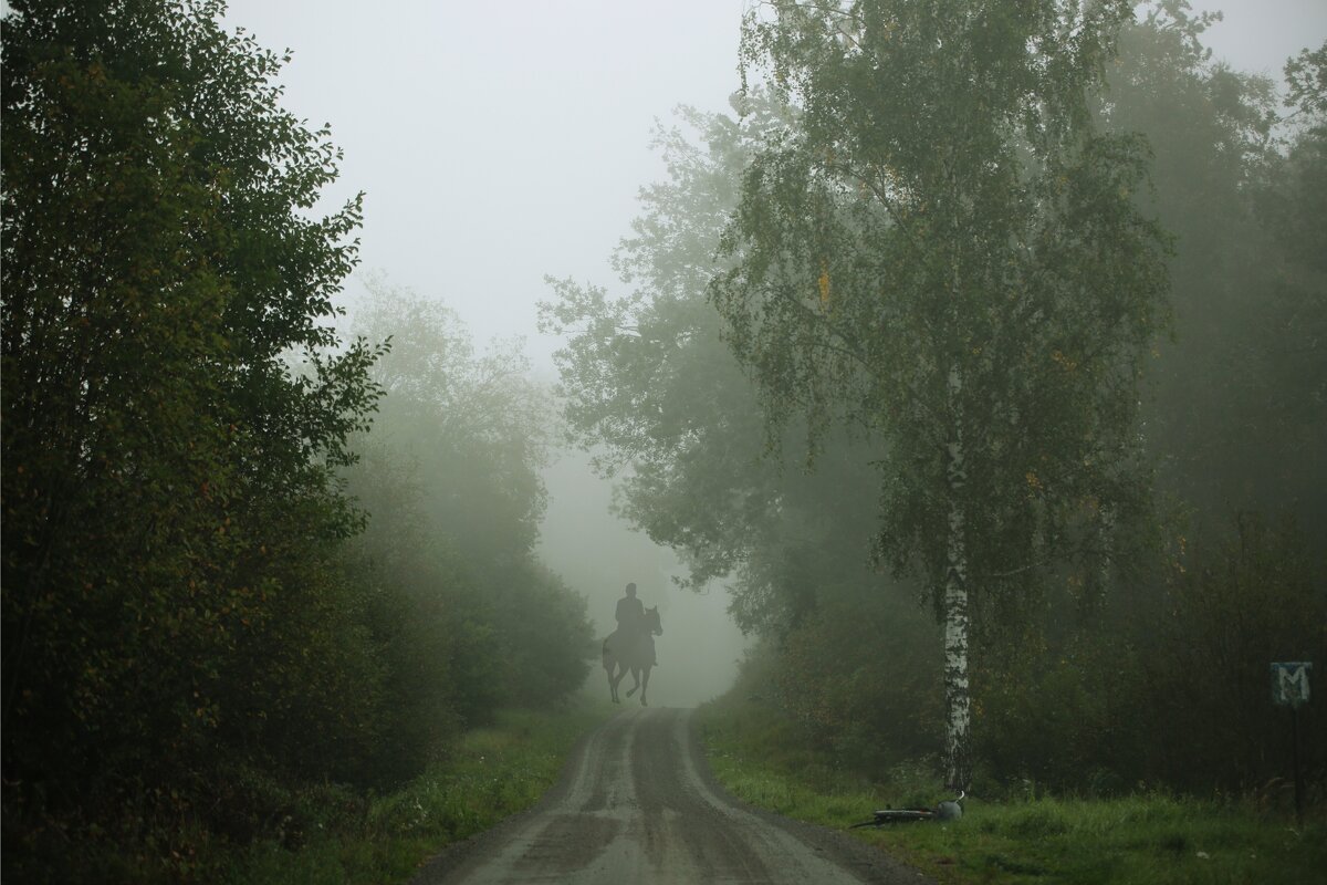 Bстреча - liudmila drake