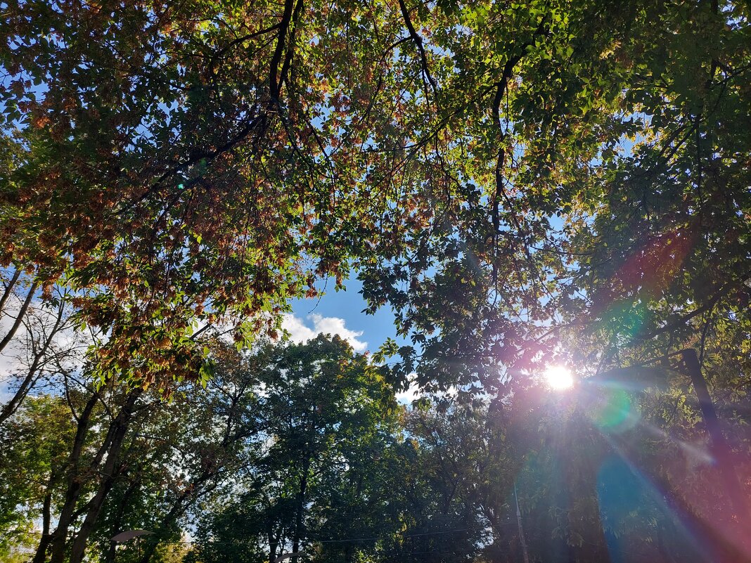 блики осени - Артём 