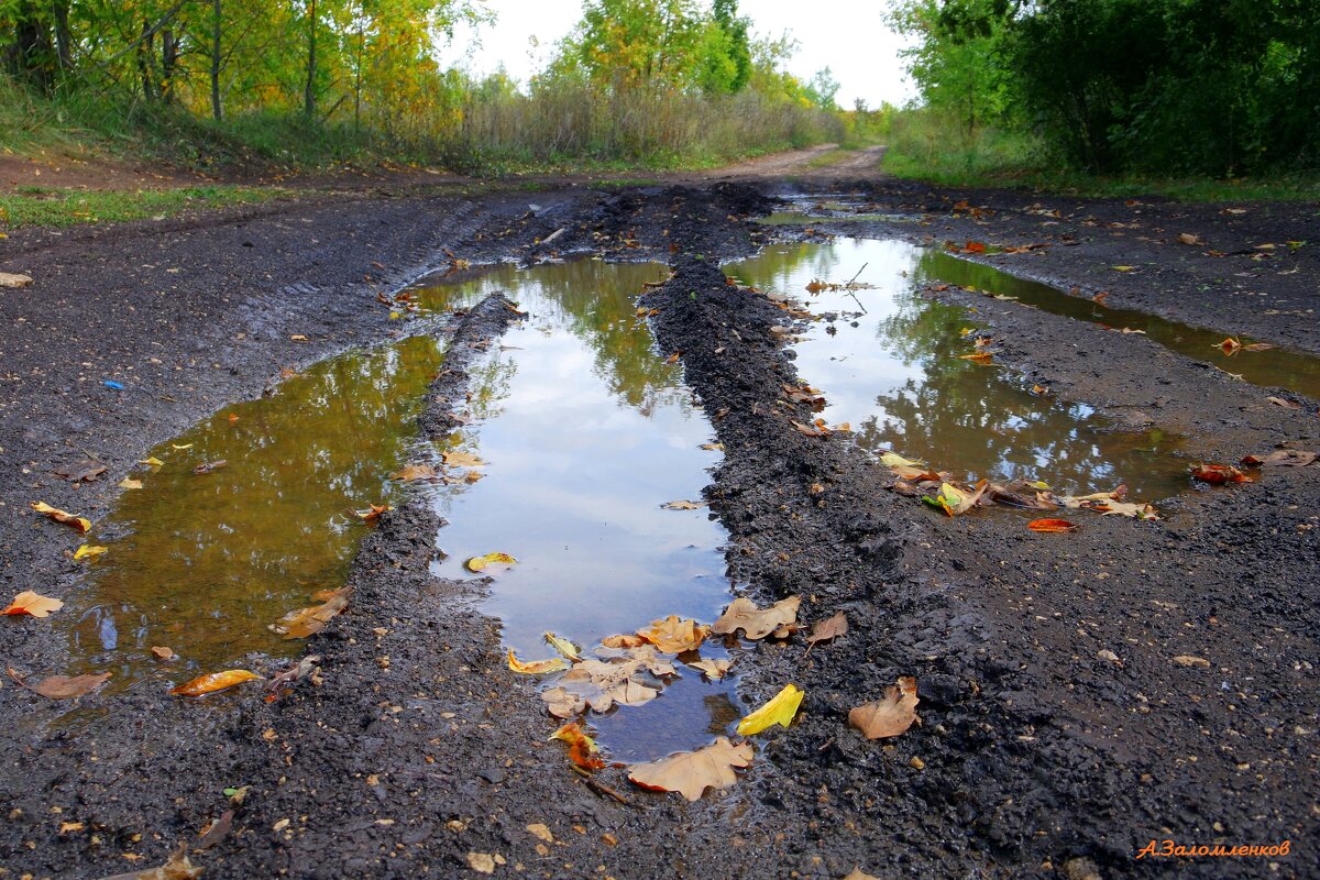 Сентябрьские мотивы... - Андрей Заломленков