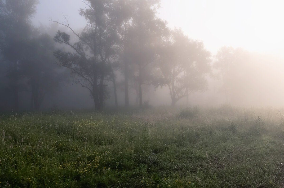 Утренний туман - Марина Фомина.