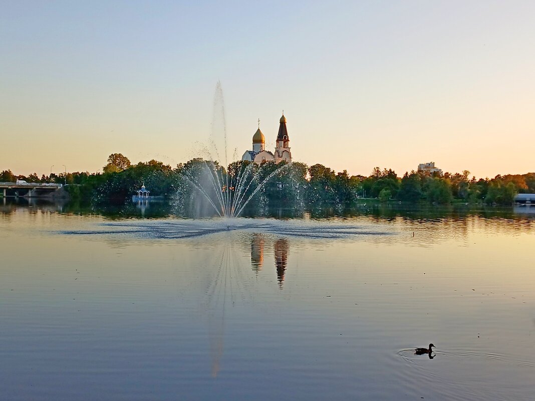 Сестрорецкие вечера. - Лия ☼