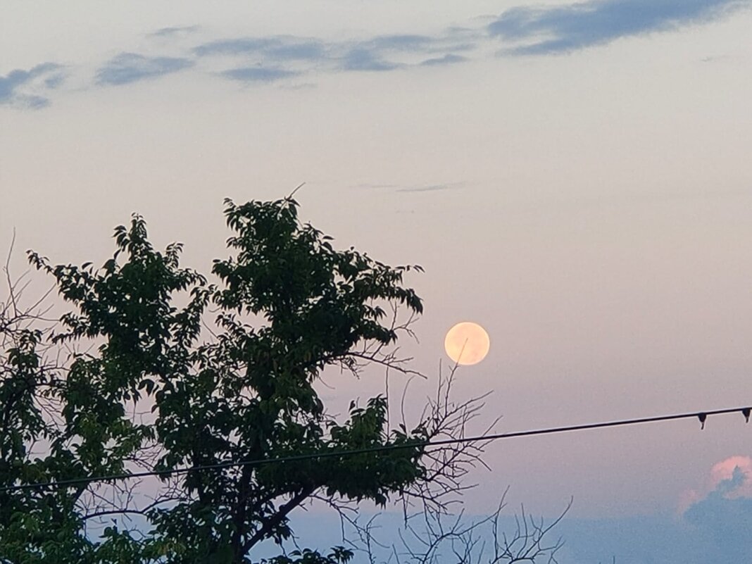 Утро в Новом Афоне - Ирэн 