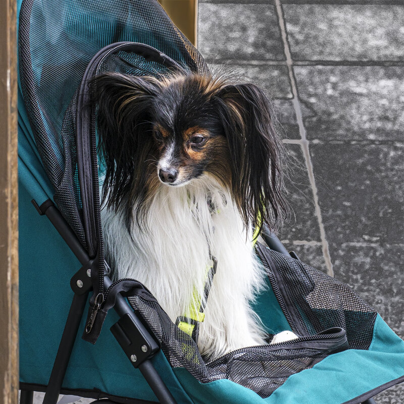 *** - Александр 