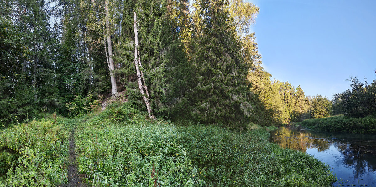 Волчий овраг / Река Молокча - Денис Бочкарёв Волчий овраг / Река Молокча - Денис Бочкарёв