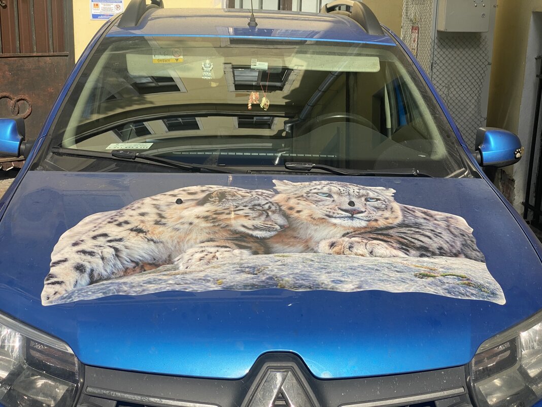 Зарисовка во дворе. - Alexey YakovLev