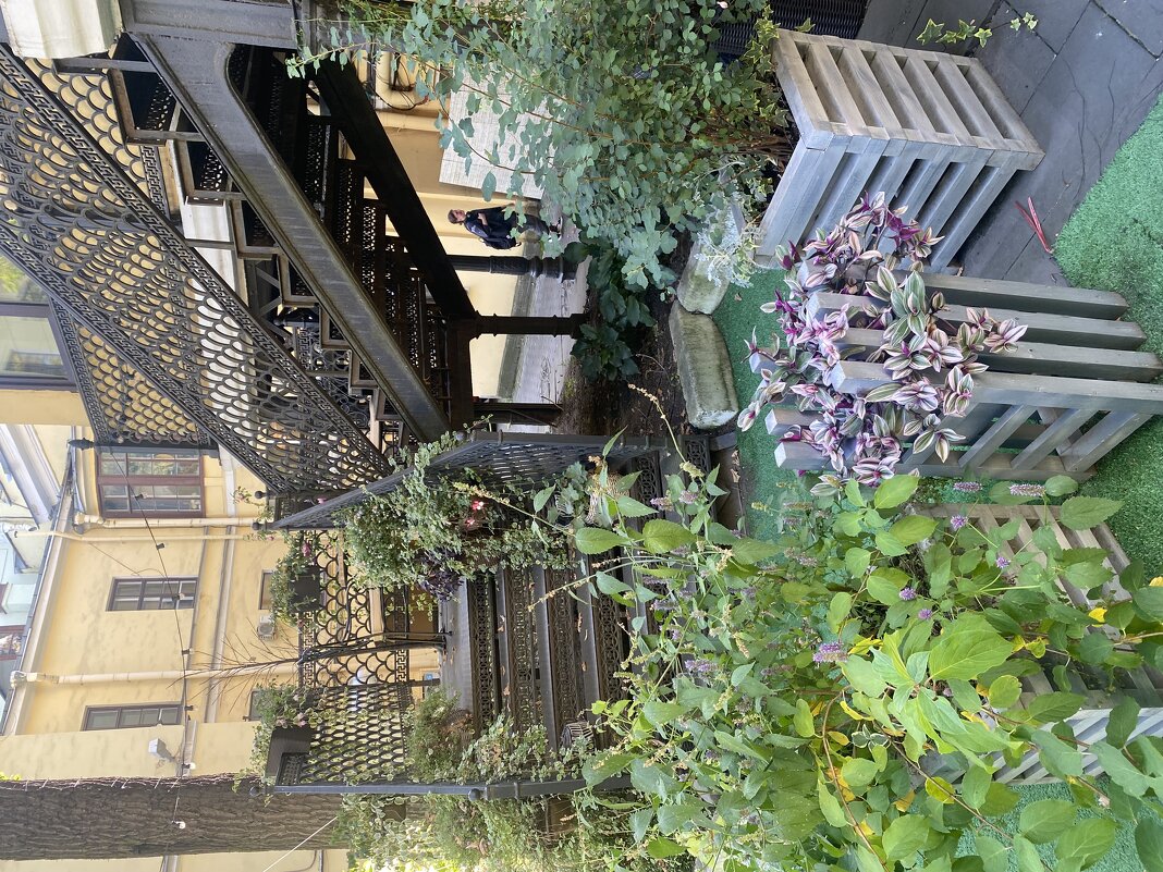 Кафе Шато - Терра.(СПб) - Alexey YakovLev Кафе Шато - Терра.(СПб) - Alexey YakovLev