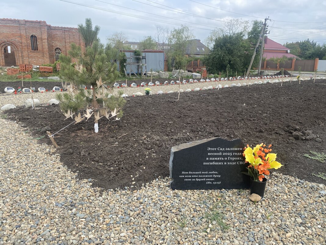 Сквер памяти бойцов СВО. - Alexey YakovLev